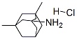 Memantine HCl  CAS 41100-52-1