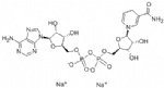 Nicotinamide Adenine Dinucleotide